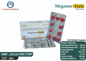 MEGAMOR-FORTE